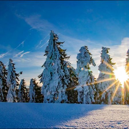 Loučná pod Klínovcem Ferienhaus Iva - Klinovecアパートホテル エクステリア 写真